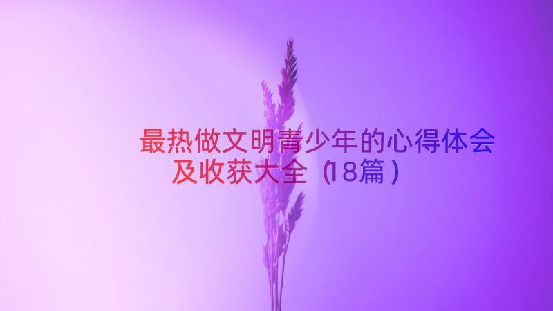 最热做文明青少年的心得体会及收获大全（18篇）