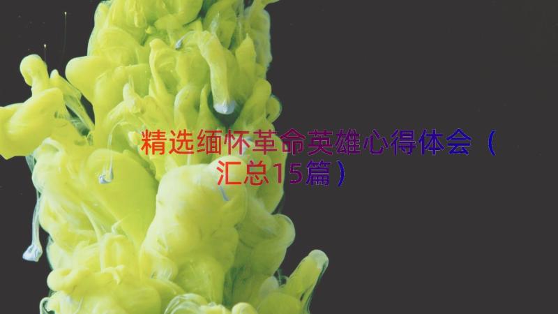 精选缅怀革命英雄心得体会（汇总15篇）