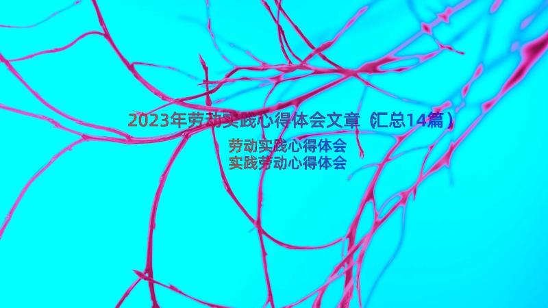 2023年劳动实践心得体会文章（汇总14篇）