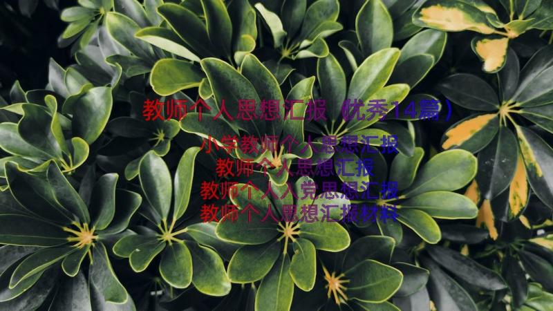 教师个人思想汇报（优秀14篇）