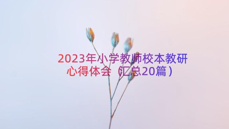 2023年小学教师校本教研心得体会（汇总20篇）