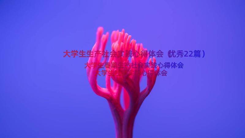 大学生生产社会实践心得体会（优秀22篇）