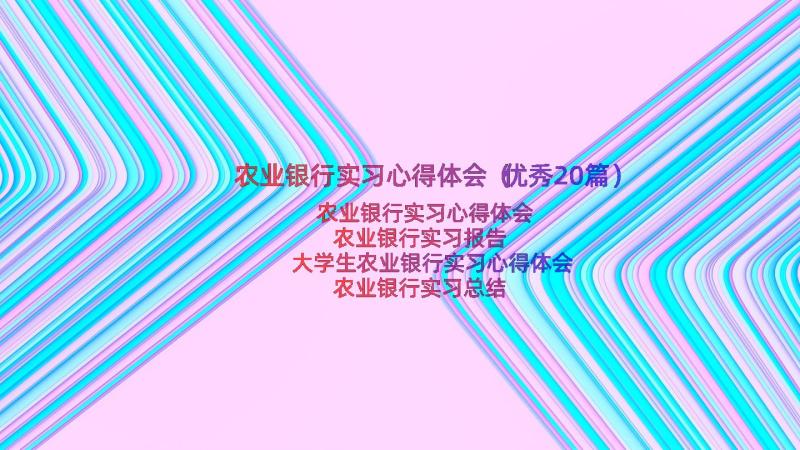 农业银行实习心得体会（优秀20篇）