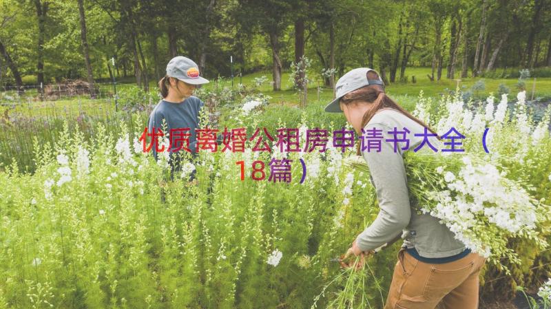 优质离婚公租房申请书大全（18篇）