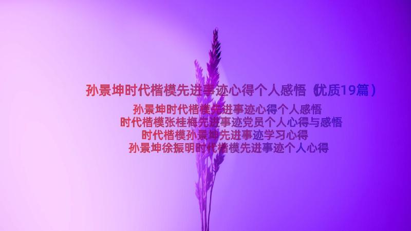 孙景坤时代楷模先进事迹心得个人感悟（优质19篇）