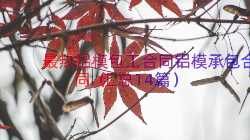 最热铝模包工合同铝模承包合同（汇总14篇）