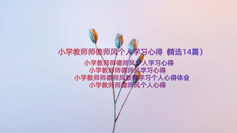 小学教师师德师风个人学习心得（精选14篇）