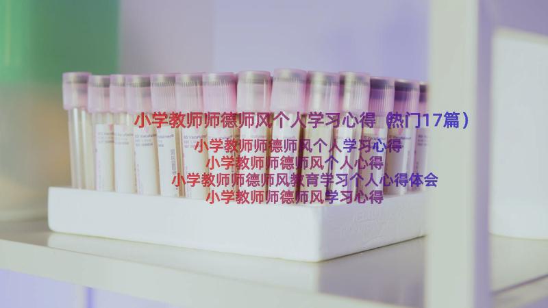 小学教师师德师风个人学习心得（热门17篇）