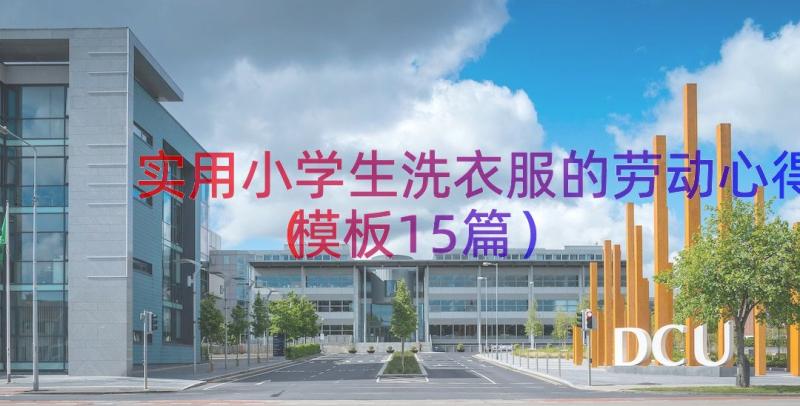 实用小学生洗衣服的劳动心得（模板15篇）