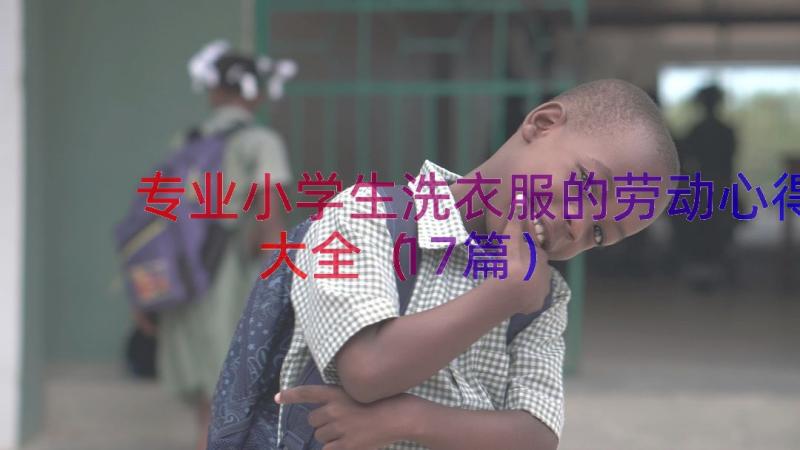 专业小学生洗衣服的劳动心得大全（17篇）