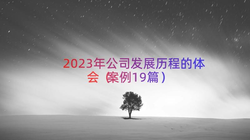 2023年公司发展历程的体会（案例19篇）