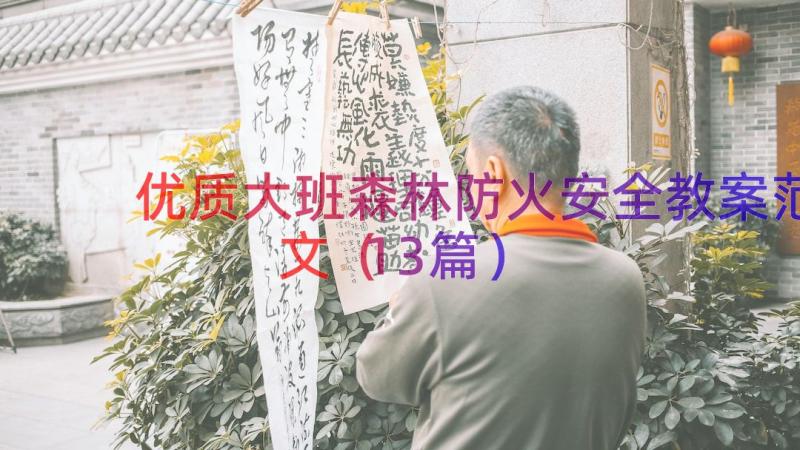 优质大班森林防火安全教案范文（13篇）