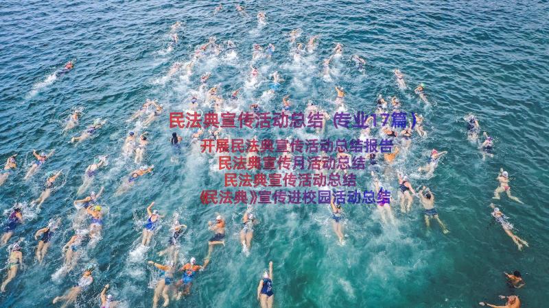 民法典宣传活动总结（专业17篇）