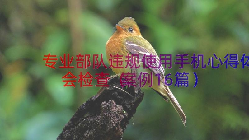 专业部队违规使用手机心得体会检查（案例16篇）