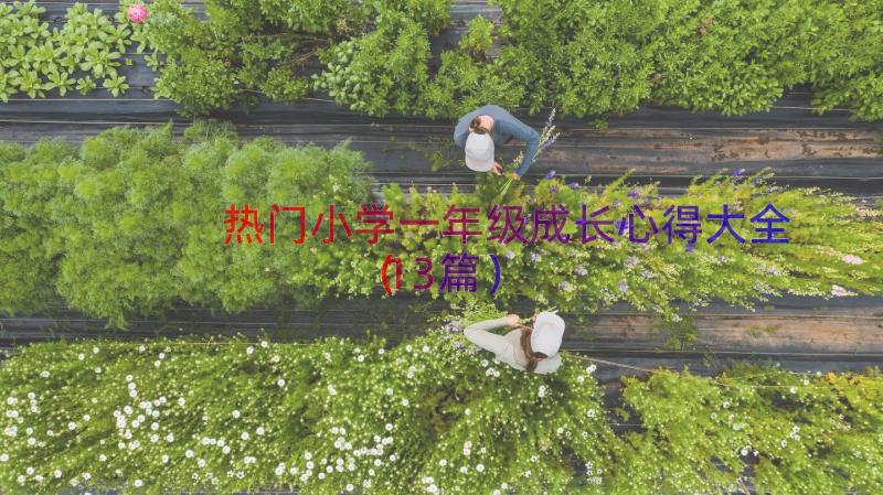 热门小学一年级成长心得大全（13篇）