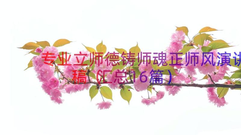 专业立师德铸师魂正师风演讲稿（汇总16篇）