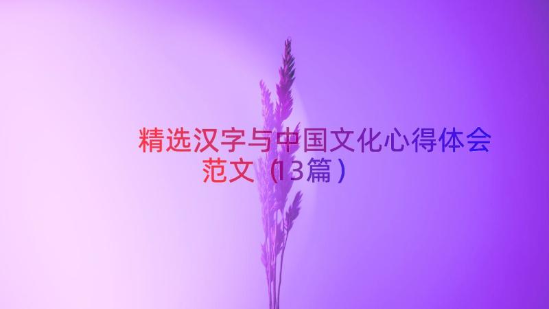 精选汉字与中国文化心得体会范文（13篇）