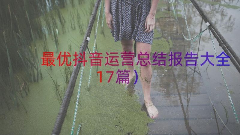 最优抖音运营总结报告大全（17篇）