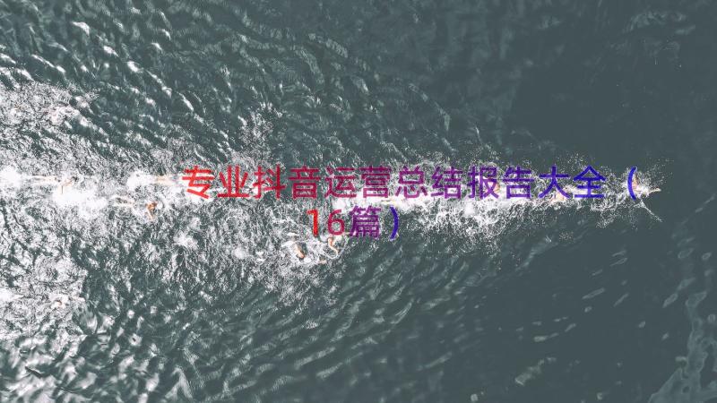 专业抖音运营总结报告大全（16篇）