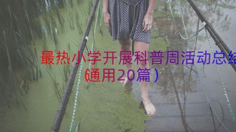 最热小学开展科普周活动总结（通用20篇）