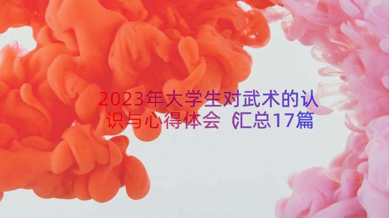 2023年大学生对武术的认识与心得体会（汇总17篇）