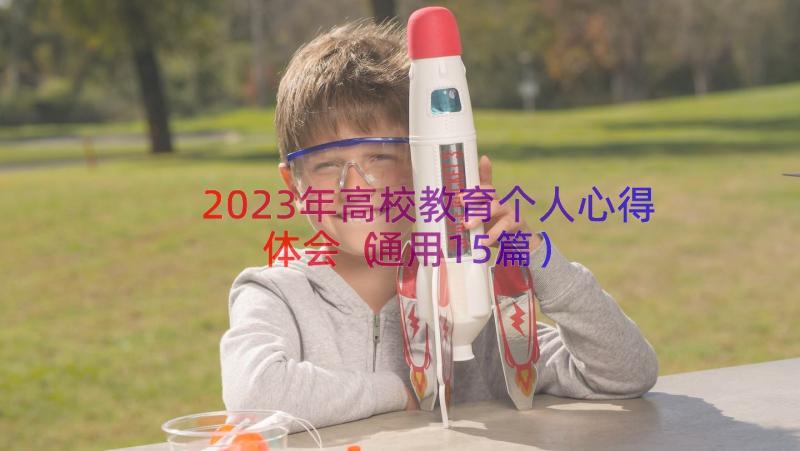 2023年高校教育个人心得体会（通用15篇）