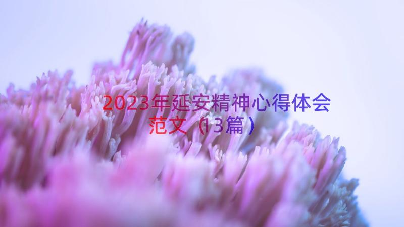 2023年延安精神心得体会范文（13篇）