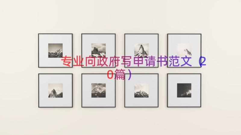 专业向政府写申请书范文（20篇）