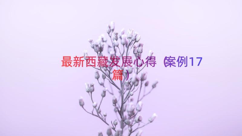 最新西藏发展心得（案例17篇）