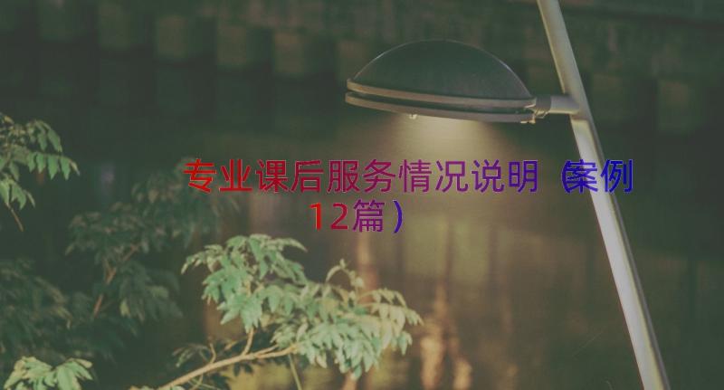 专业课后服务情况说明（案例12篇）