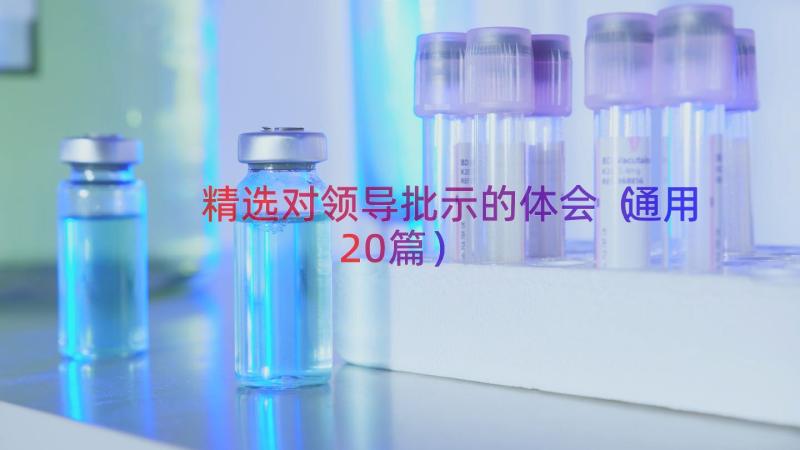 精选对领导批示的体会（通用20篇）