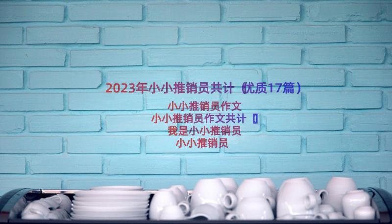 2023年小小推销员共计（优质17篇）