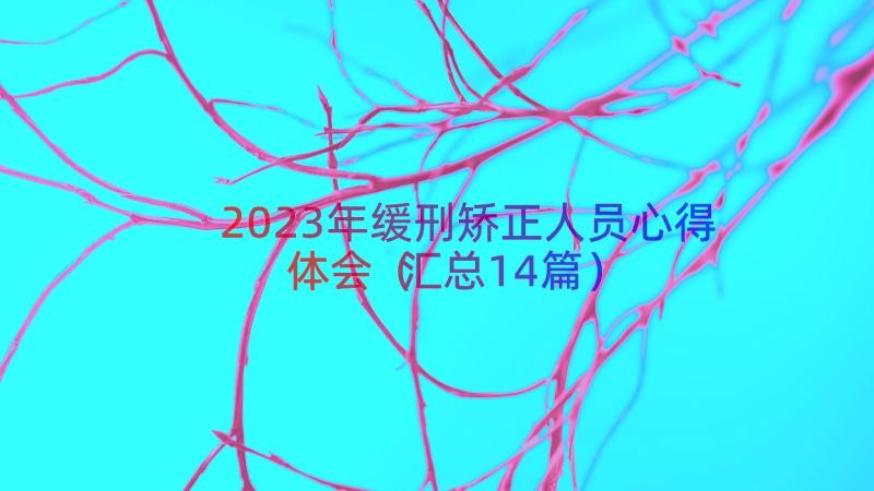 2023年缓刑矫正人员心得体会（汇总14篇）