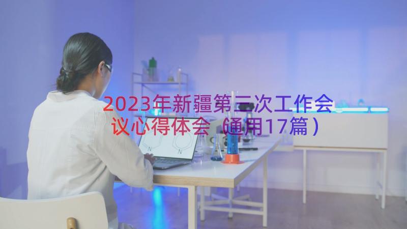 2023年新疆第三次工作会议心得体会（通用17篇）