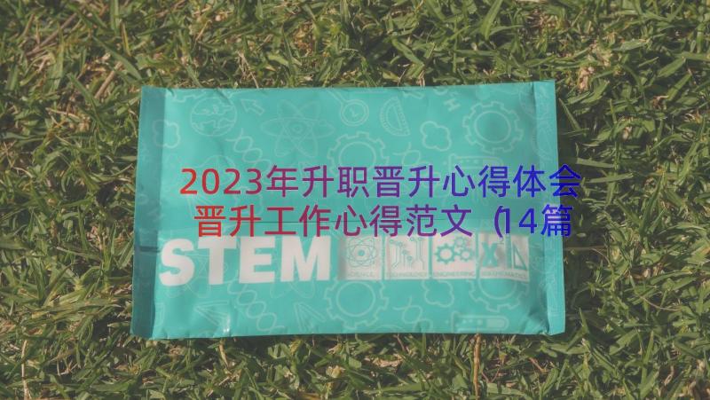 2023年升职晋升心得体会晋升工作心得范文（14篇）