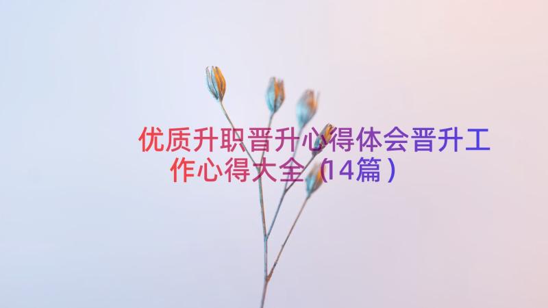 优质升职晋升心得体会晋升工作心得大全（14篇）