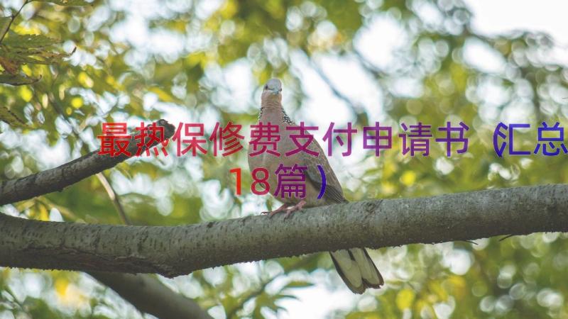 最热保修费支付申请书（汇总18篇）