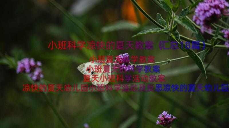 小班科学凉快的夏天教案（汇总18篇）