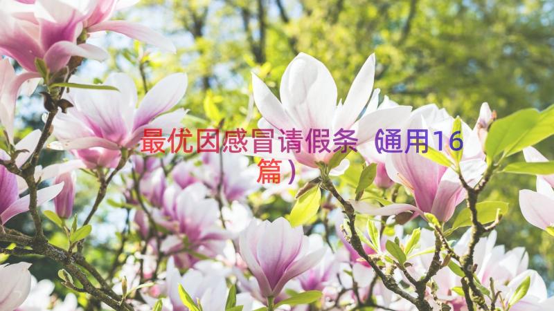 最优因感冒请假条（通用16篇）