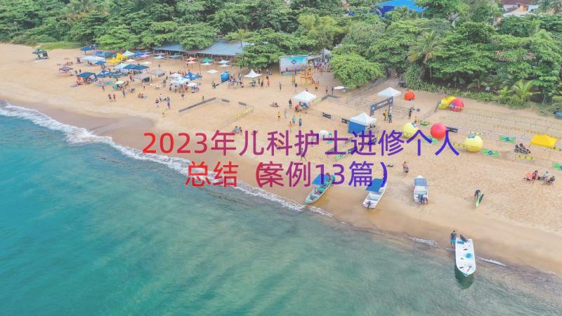 2023年儿科护士进修个人总结（案例13篇）