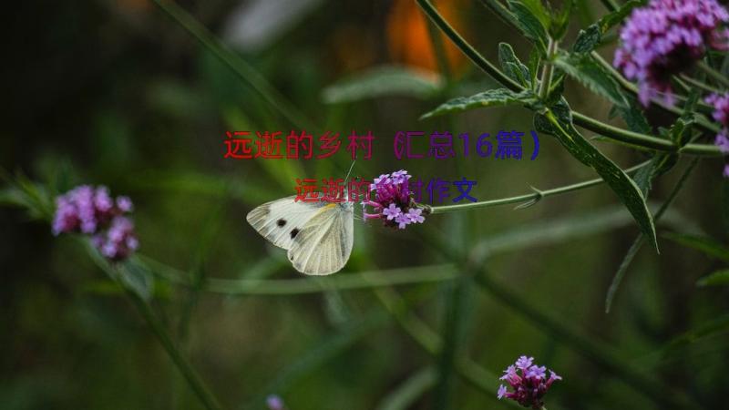 远逝的乡村（汇总16篇）