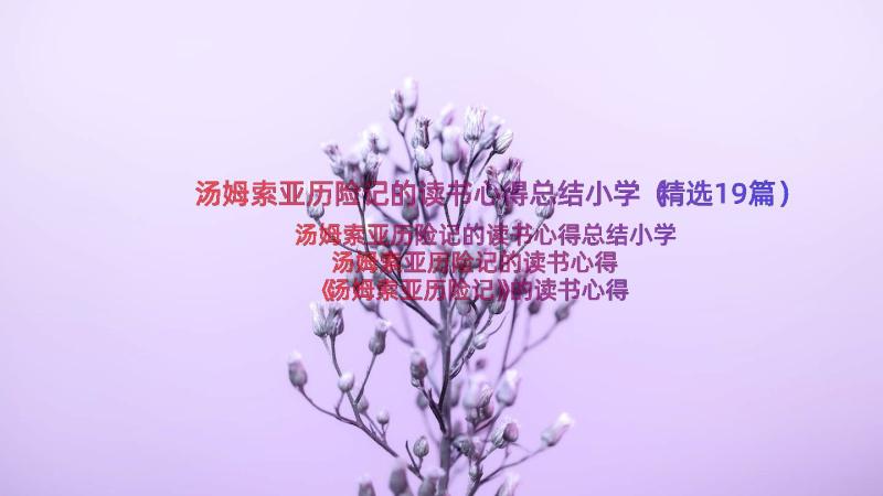 汤姆索亚历险记的读书心得总结小学（精选19篇）