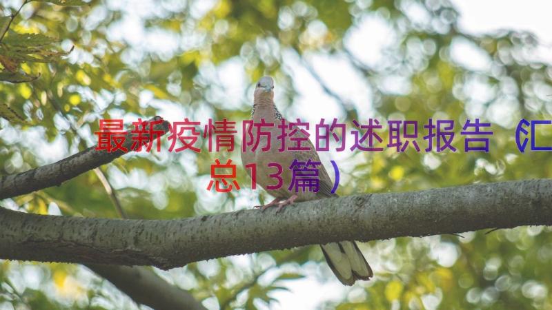 最新疫情防控的述职报告（汇总13篇）