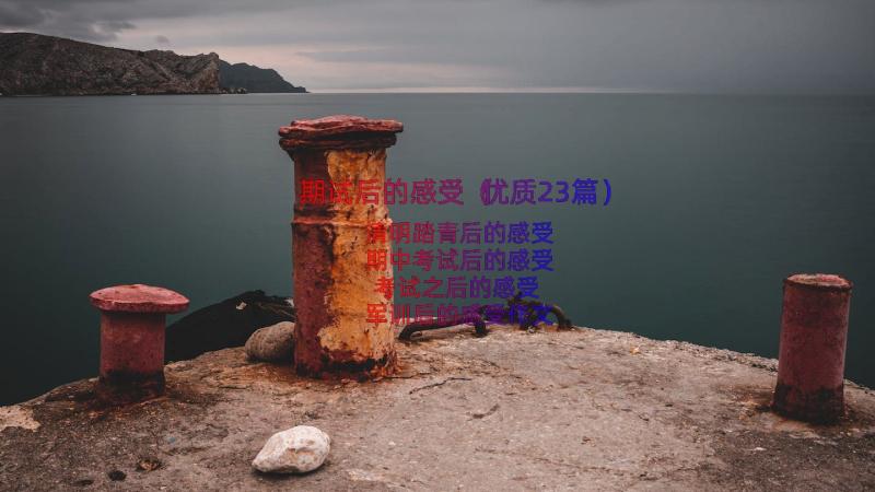 期试后的感受（优质23篇）