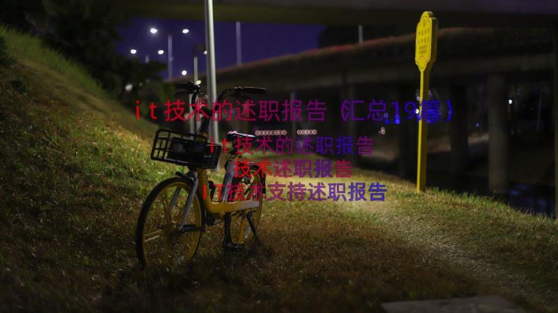 it技术的述职报告（汇总19篇）