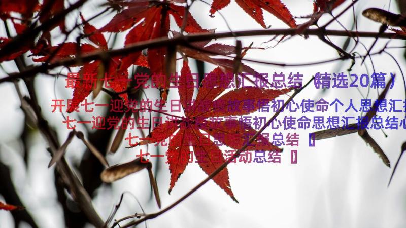 最新七一党的生日思想汇报总结（精选20篇）