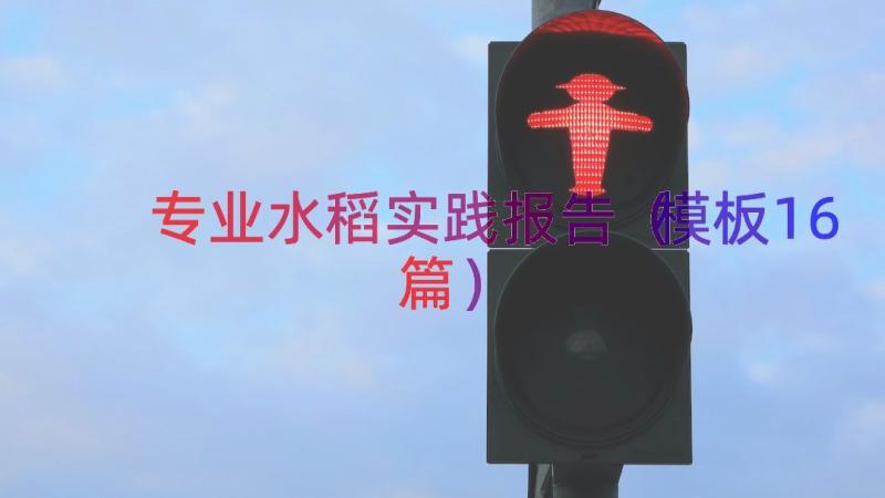 专业水稻实践报告（模板16篇）