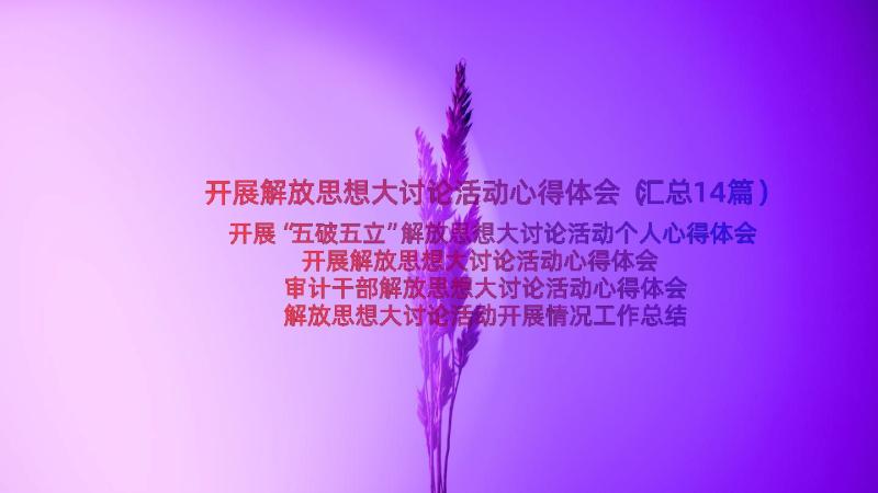 开展解放思想大讨论活动心得体会（汇总14篇）