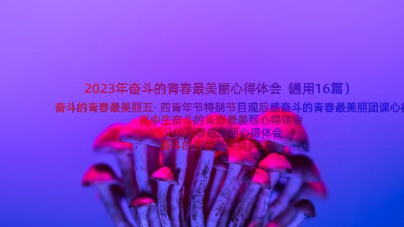 2023年奋斗的青春最美丽心得体会（通用16篇）