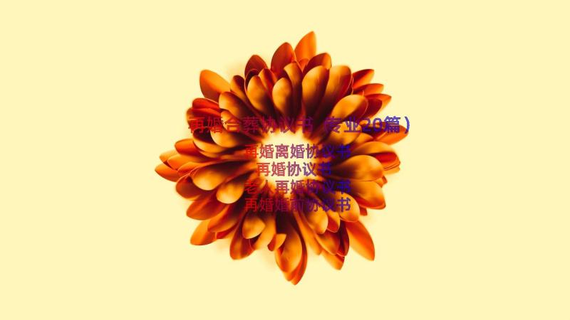 再婚合葬协议书（专业20篇）